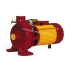 Besten Centrifugal Monobloc Pump