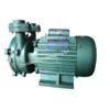 Besten Slow Speed Monobloc Pump