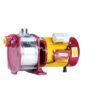 Besten Self Priming Monobloc Pump